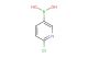 2-chloropyridine-5-boronic acid