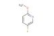 2-methoxy-5-fluoropyridine