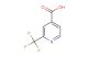 2-(trifluoromethyl)isonicotinic acid