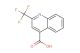 2-(trifluoromethyl)quinoline-4-carboxylic acid