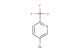 2-trifluoromethyl-5-bromopyridine