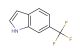 6-(trifluoromethyl)indole