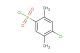 4-chloro-2, 5-dimethylphenylsulfonyl chloride