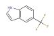 5-(trifluoromethyl)indole