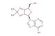2',3'-O-isopropylideneinosine