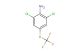 2,6-dichloro-4-(trifluoromethylthio)aniline