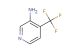 4-(trifluoromethyl)pyridin-3-amine