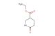 ethyl 6-oxopiperidine-3-carboxylate