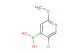 5-chloro-2-methoxypyridin-4-ylboronic acid