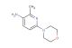 2-methyl-6-morpholinopyridin-3-amine