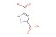 1H-pyrazole-3,5-dicarboxylic acid
