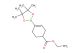 ethyl 4-(4,4,5,5-tetramethyl-1,3,2-dioxaborolan-2-yl)cyclohex-3-enecarboxylate
