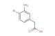 2-(3-amino-4-bromophenyl)acetic acid