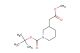 tert-butyl 3-(2-methoxy-2-oxoethyl)piperidine-1-carboxylate