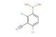2,4-dichloro-3-cyanophenylboronic acid