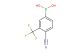 4-cyano-3-(trifluoromethyl)phenylboronic acid