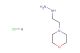 1-(2-morpholinoethyl)hydrazine hydrochloride
