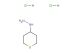 1-(tetrahydro-2H-thiopyran-4-yl)hydrazine dihydrochloride
