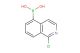 1-chloroisoquinolin-5-yl-5-boronic acid