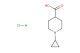 1-Cyclopropylpiperidine-4-carboxylic acid