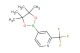 2-(trifluoromethyl)-4-(4,4,5,5-tetramethyl-1,3,2-dioxaborolan-2-yl)pyridine