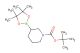 tert-butyl 3-(4,4,5,5-tetramethyl-1,3,2-dioxaborolan-2-yl)piperidine-1-carboxylate