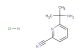 6-(2-aminopropan-2-yl)picolinonitrile hydrochloride