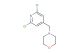 4-((2,6-dichloropyridin-4-yl)methyl)morpholine
