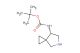 (S)-tert-butyl 5-azaspiro[2.4]heptan-7-ylcarbamate