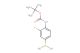 4-(tert-butoxycarbonylamino)-3-fluorophenylboronic acid
