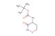 tert-butyl (3-oxo-1,2-oxazinan-4-yl)carbamate