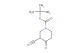 tert-butyl 3-cyano-4-oxopiperidine-1-carboxylate