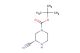 (S)-tert-butyl 3-cyanopiperazine-1-carboxylate