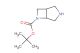 tert-butyl 3,6-diazabicyclo[3.2.0]heptane-6-carboxylate