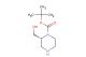 (R)-tert-butyl 2-(hydroxymethyl)piperazine-1-carboxylate