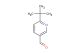6-tert-butylnicotinaldehyde