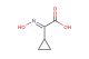 2-cyclopropyl-2-(hydroxyimino)acetic acid