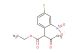 ethyl 2-(4-fluoro-2-nitrophenyl)-3-oxobutanoate