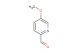 5-methoxypicolinaldehyde