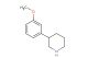 3-(3-methoxyphenyl)piperidine