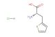 (S)-2-amino-3-(thiophen-2-yl)propanoic acid hydrochloride