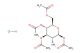 1,3,4,6-tetra-O-acetyl-2-amino-2-deoxy-beta-D-glucopyranose hydrochloride