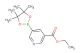 ethyl 5-(4,4,5,5-tetramethyl-1,3,2-dioxaborolan-2-yl)nicotinate