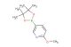 2-methoxy-5-(4,4,5,5-tetramethyl-1,3,2-dioxaborolan-2-yl)pyridine