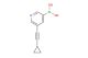 5-(cyclopropylethynyl)pyridin-3-ylboronic acid