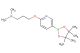 N,N-dimethyl-3-((5-(4,4,5,5-tetramethyl-1,3,2-dioxaborolan-2-yl)pyridin-2-yl)oxy)propan-1-amine