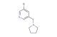 3-bromo-5-(pyrrolidin-1-ylmethyl)pyridine