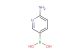6-aminopyridin-3-ylboronic acid