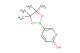 5-(4,4,5,5-tetramethyl-1,3,2-dioxaborolan-2-yl)pyridin-2-ol