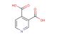 pyridine-3,4-dicarboxylic acid